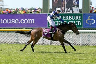 Hasahalo provided a blockbuster performance in the Group 1 gavelhouse.com 1000 Guineas. Photo: Race Images Chch.